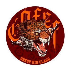 COFEF UNESP RC