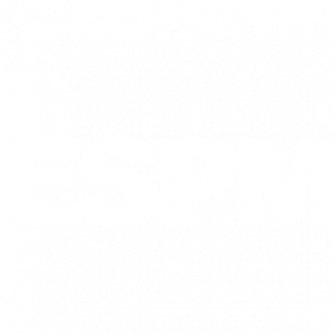 Jacarito ESPM
