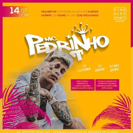 MC PEDRINHO | BAILE DA PINK