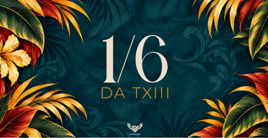 1/6 Fameg TXIII