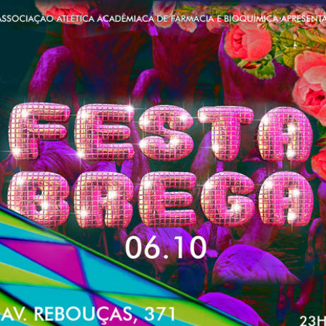 Festa Brega 2017 - Baile Dançante de um Amor de Primavera