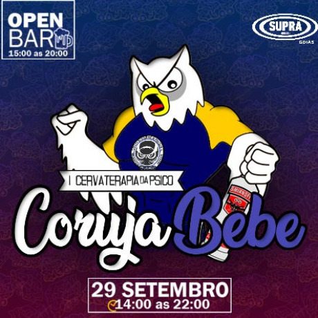 I CERVATERAPIA DA PSICO: CORUJA BEBE