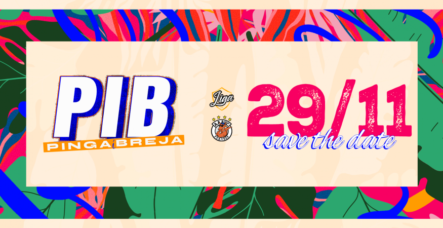 PIB - Pinga í Breja